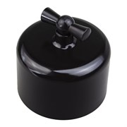 Выключатель поворотный, одинарный, пластик, черный, Jantera, JAD.0R01.PG01