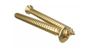 Саморез для выключателя/изолятора, цвет - золото, серия «МезонинЪ» GE30002-30