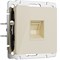 Розетка Ethernet RJ-45 (айвори акрил), Werkel, W1181043 - фото 112509