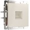 Розетка Ethernet RJ-45 (айвори матовый), Werkel, W1181062 - фото 113247