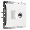 Розетка ТВ+Ethernet RJ-45 6 cat.(белый), Werkel, W1181301 - фото 113804