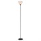 Торшер Lussole LSP-0629 - фото 79936