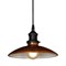 Подвесной светильник Lussole LOFT LSL-6806-01 - фото 8280