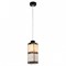 Подвесной светильник Lussole LOFT LSP-0241