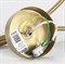 Бра Lussole LSP-8593 - фото 83810