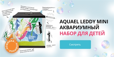 Новинка от AQUAEL: аквариумы для детей!