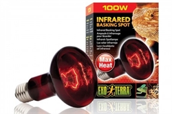 Лампа Exo Terra Reptile Infrared Basking Spot 100 Вт - фото 22126