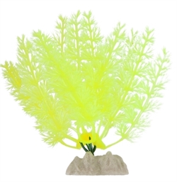 GloFish Растение флуоресцирующее желтое S, 13 см. - фото 25202