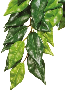 Тропическое растение Exo Terra Jungle Plants пластиковое Фикус среднее 55х25 см. - фото 25724