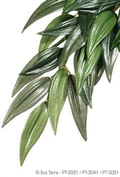 Тропическое растение Exo Terra Jungle Plants пластиковое Рускус среднее 55х25 см. - фото 25726