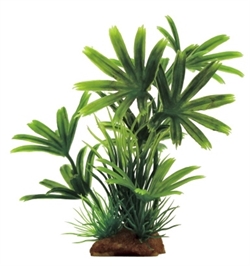ArtUniq Bambusa green mix 15 - Бамбуза зеленая в миксе растений, 13x5x15 см - фото 28383