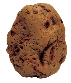 ArtUniq Potato Stone M - Декоративная композиция из пластика "Камень-картошка", 19x13,7x22,5 см - фото 28599