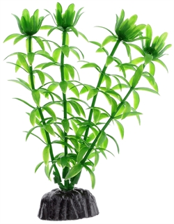 Пластиковое растение Barbus Элодея 10 см. - фото 28613
