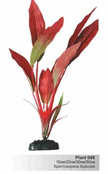 Шелковое растение Barbus Криптокорина красная 30 см. - фото 28763