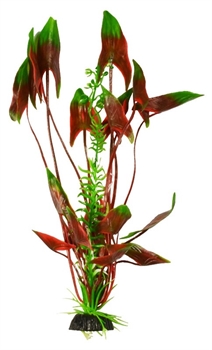 Пластиковое растение Barbus Водная кала 50 см. - фото 28912
