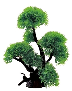 ArtUniq Riccia on bonsai 24 - Риччия на бонсае, 18x11x24 см - фото 28917