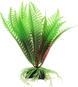Пластиковое растение Barbus Папоротник 10 см. - фото 28935