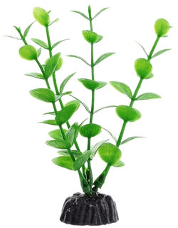 Пластиковое растение Barbus Бакопа зеленая 10 см. - фото 28936