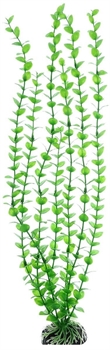 Пластиковое растение Barbus Бакопа зеленая 50 см. - фото 28938