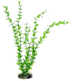 Пластиковое растение Barbus Бакопа зеленая 30 см. - фото 28939