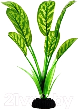Шелковое растение Barbus Дифинбахия 30 см. - фото 28944