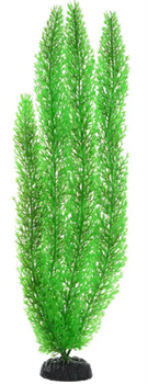 Пластиковое растение Barbus Роголистник 50 см. - фото 28958