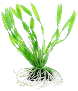 Пластиковое растение Barbus Валиснерия спиральная  10 см. - фото 29004
