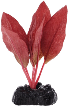 Шелковое растение Barbus Криптокорина красная 10 см. - фото 29110