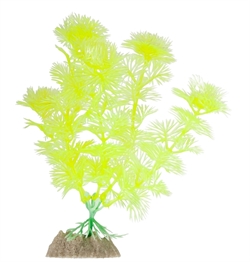 GloFish Растение флуоресцирующее желтое  M 15 см - фото 29277
