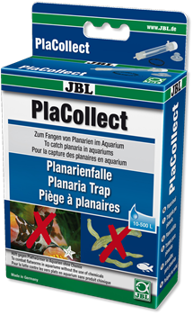 JBL PlaCollect - Ловушка для планарий и других плоских червей - фото 30152