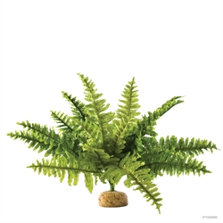 Пластиковое растение Exo Terra Boston Fern (Бостонский папоротник средний) - фото 47047