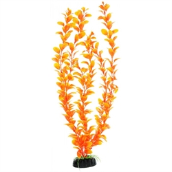 Пластиковое растение Barbus Людвигия ярко-желтая 50 см. - фото 47357
