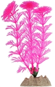 GloFish Растение флуоресцирующее розовое S, 13 см.