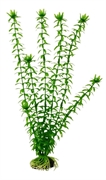 Пластиковое растение Barbus Элодея 30 см.