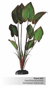 Шелковое растение Barbus Эхинодорус бархатный 30 см.