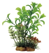 ArtUniq Ludwigia mix 13 - Людвигия в миксе растений, 10x5x13 см