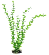 Пластиковое растение Barbus Бакопа зеленая 30 см.