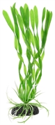 Пластиковое растение Barbus Валиснерия спиральная 20 см.