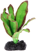Шелковое растение Barbus Эхинодорус бархатный 10 см.