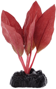Шелковое растение Barbus Криптокорина красная 10 см.