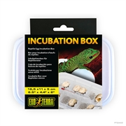 Контейнер Exo Terra Incubation Box для инкубации яиц.