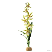 Пластиковое растение Exo Terra Spider Orchid (Паучья орхидея)