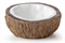 Поилка кокос Exo Terra Coconut Water dish 12х14х6 см. - фото 22103