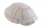 Убежище-декор Exo Terra панцирь черепахи 13х9х5.5 см. - фото 22268