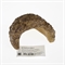 JBL ReptilCava SAND S - Пещера для террариумных животных, песочная - фото 23189