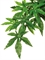Тропическое растение Exo Terra Jungle Plants пластиковое Абутилон среднее 55х20 см. - фото 25728