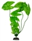 Пластиковое растение Barbus Нимфея 10 см. - фото 27335