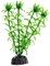 Пластиковое растение Barbus Элодея 10 см. - фото 28613