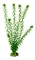 Пластиковое растение Barbus Элодея 30 см. - фото 28617