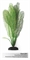 Шелковое растение Barbus Апоногетон 30 см. - фото 28770